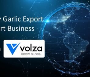 Volza Grow Global